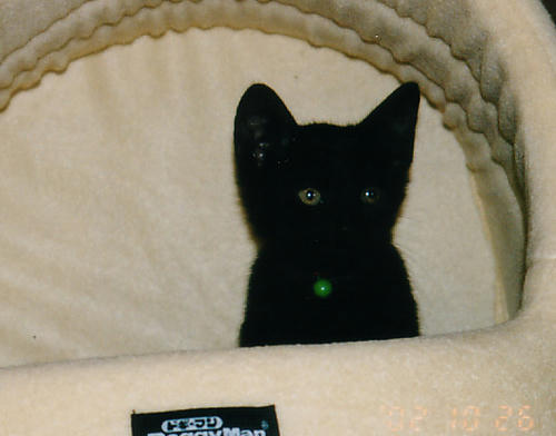 cc4659f8.jpg