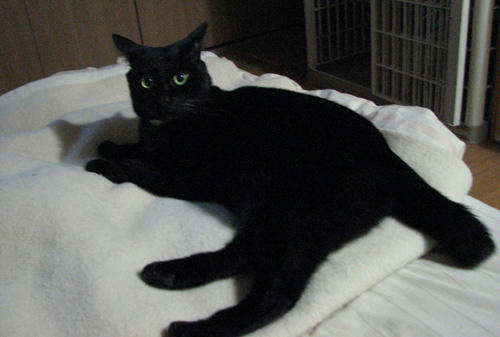 20110305.jpg