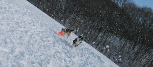 20110308.jpg