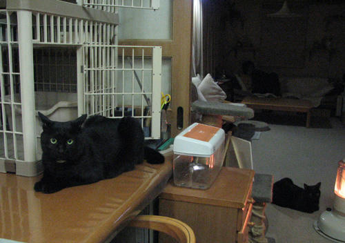20110316.jpg