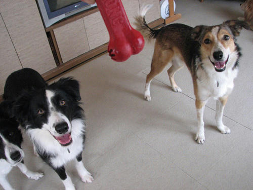 20110319.jpg