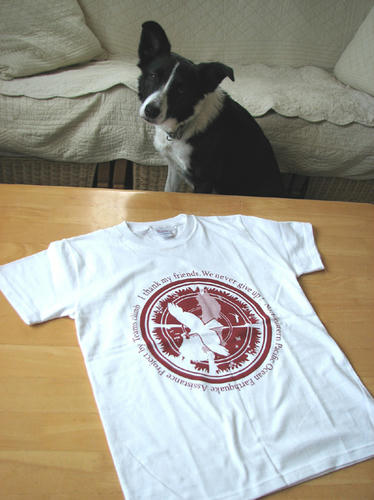 20110409.jpg