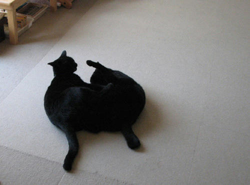 20110412.jpg