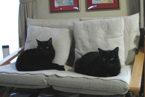 20110416.jpg