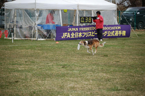 20110424.jpg