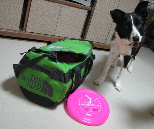 20110427.jpg