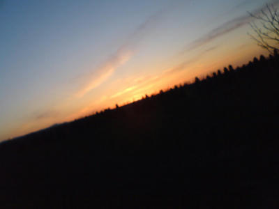 20110511no2.jpg