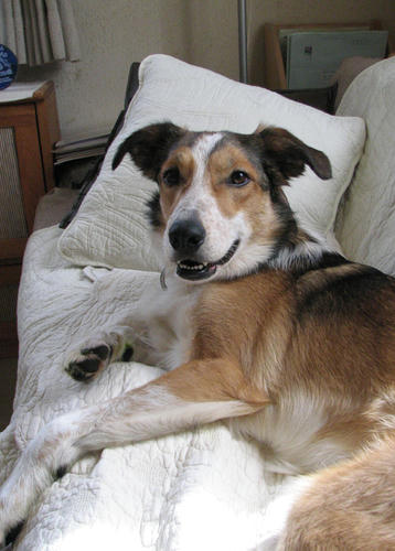 20110512.jpg