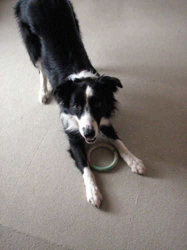 20110514.jpg