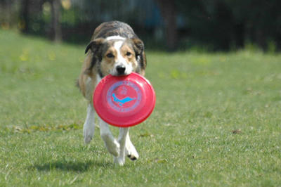 20110521.jpg