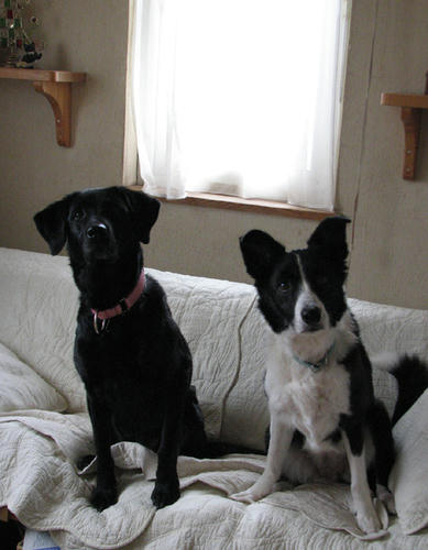 20110523.jpg