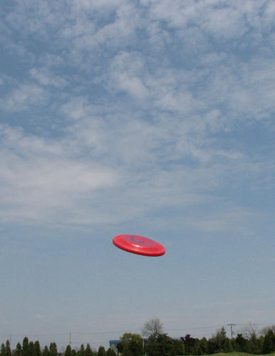 20110527.jpg