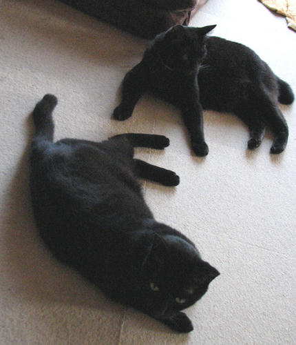 20110601.jpg