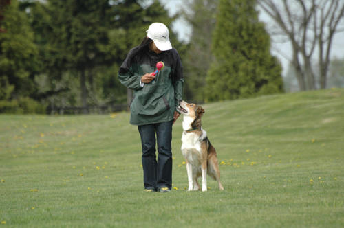 20110602.jpg