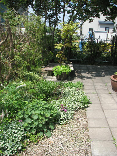 20110606.jpg