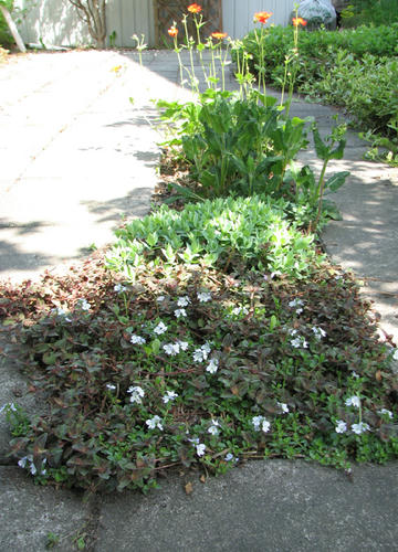 d598c453.jpg