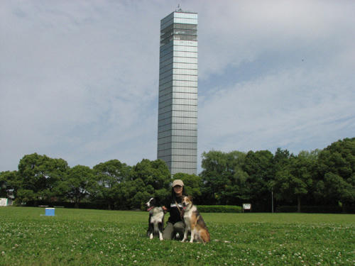 20110622.jpg