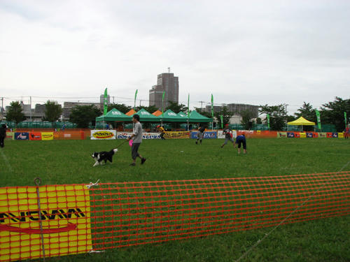 20110626.jpg