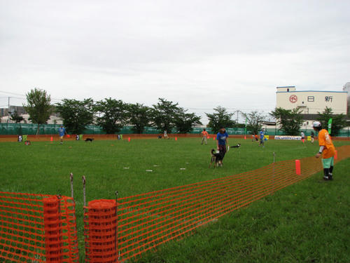 9eb202c4.jpg