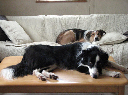 20110713.jpg