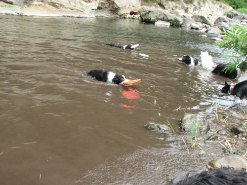 20110719.jpg