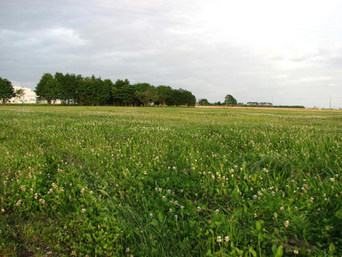 cb0237c9.jpg