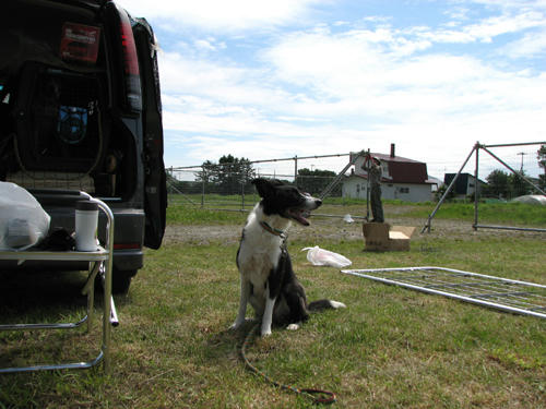 20110724.jpg