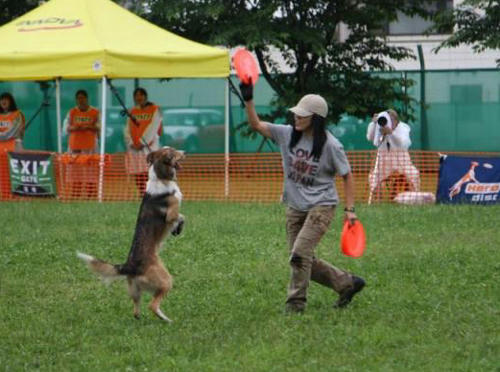 20110727.jpg