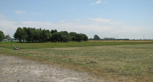 f71b102c.jpg