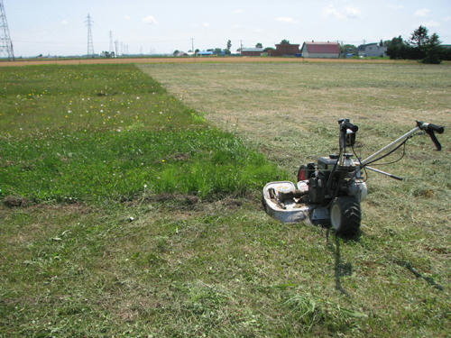 20110801.jpg