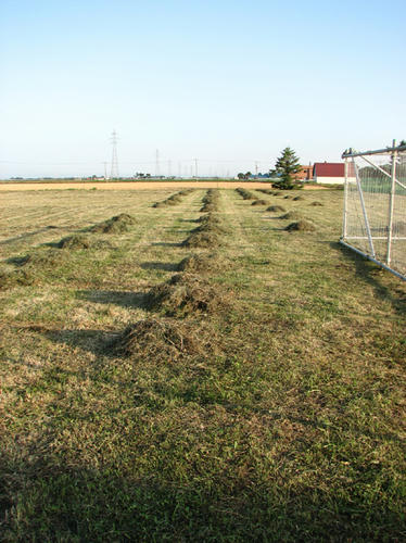 20110802.jpg