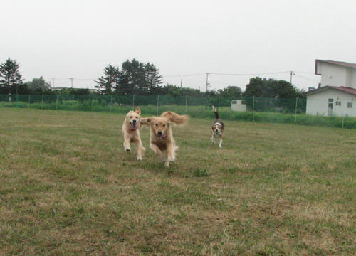 2e41f469.jpg