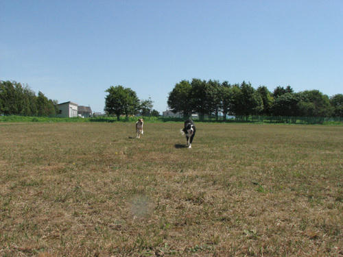 8bdb5a42.jpg