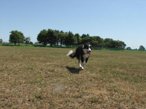 20110813.jpg