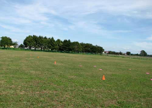 20110827.jpg