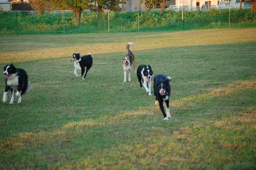 14673344_1288811359_182large.jpg