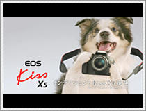 kissx-15sec-collie.jpg