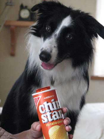 20110902.jpg