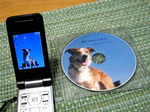 20110921.jpg