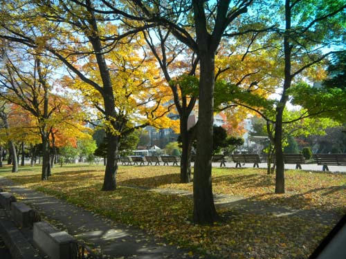 20111106.jpg