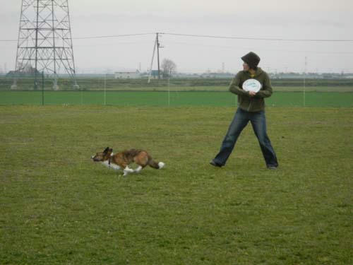 20111112.jpg