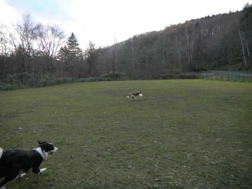20111113.jpg