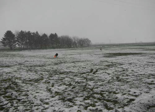 20111115.jpg