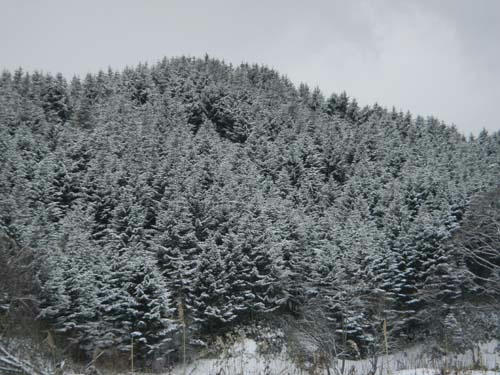 20111201.jpg