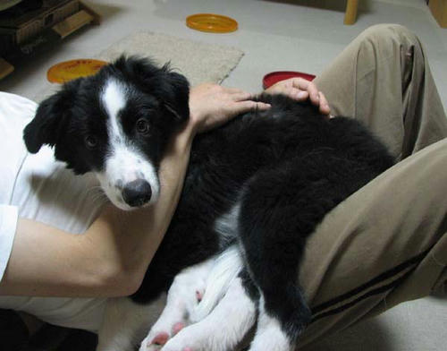 20120111.jpg