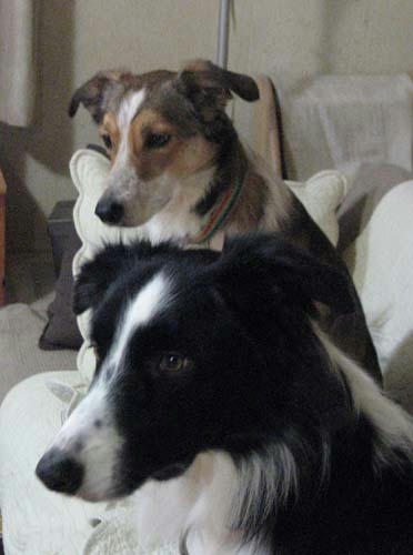20120114.jpg
