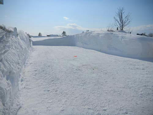 20120127.jpg