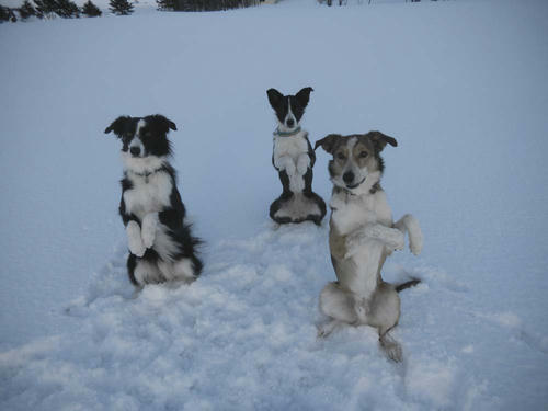 20120304.jpg