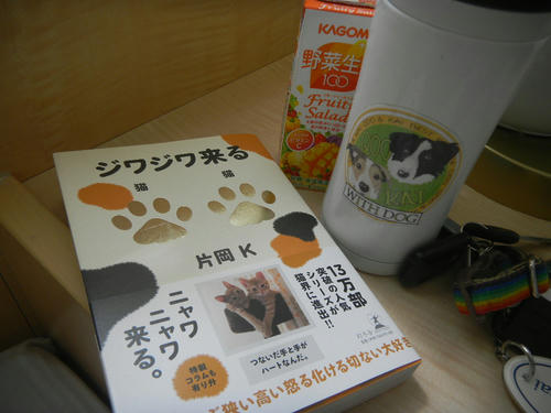 DSCN2229.JPG