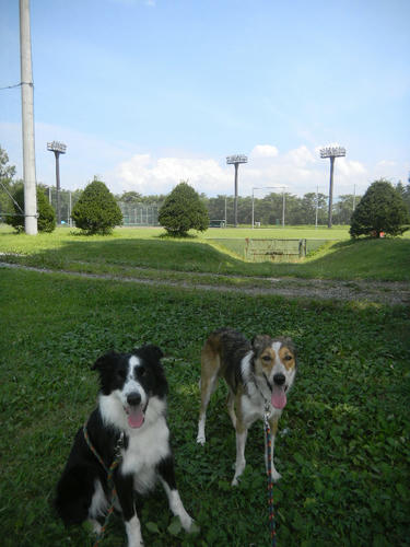 DSCN2241.JPG